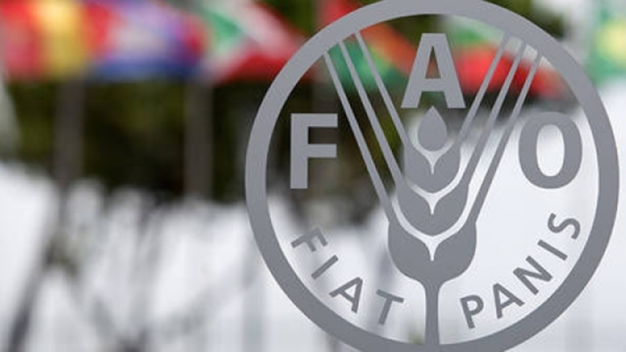 Dünyada gıda fiyatları değişmedi