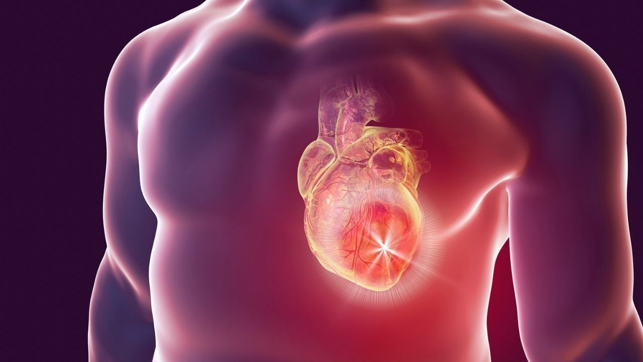 En çok erkeklerde görülüyor! Vücuttaki saatli bomba: Aort anevrizması nedir? En çok erkeklerde görülüyor! Vücuttaki saatli bomba: Aort anevrizması nedir?