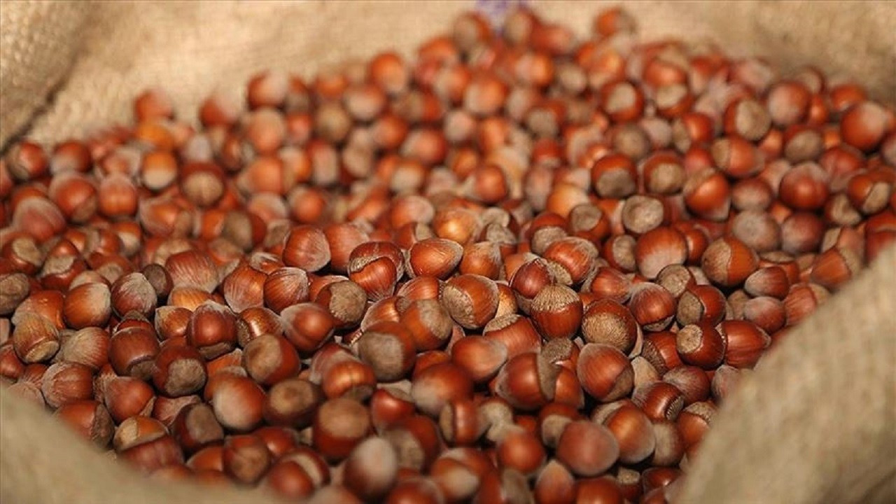 Rekabet Kurulu'ndan açıklama geldi: Ferrero, Türkiye'den fındık alımını durduracak mı?