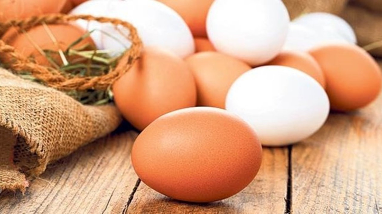 Yumurta üretimi yüzde 3,3 arttı