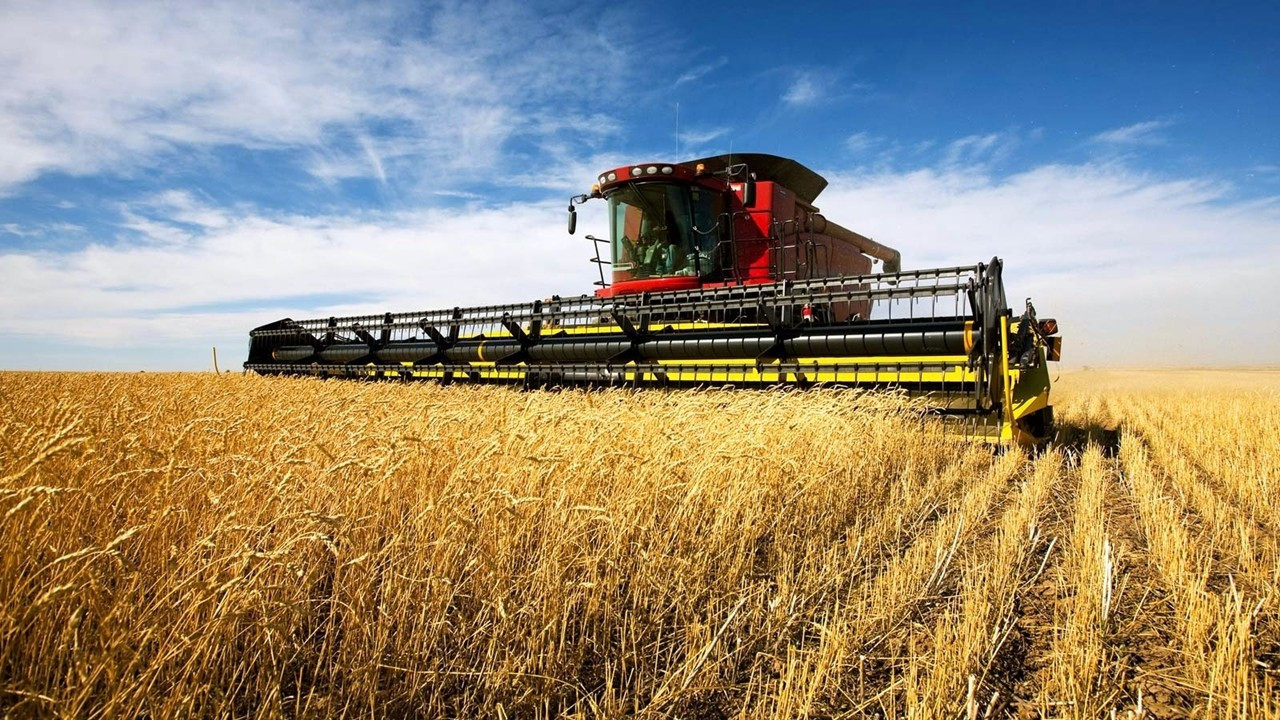 Rus buğdayı 2022'de rakipsiz - Ekonomim