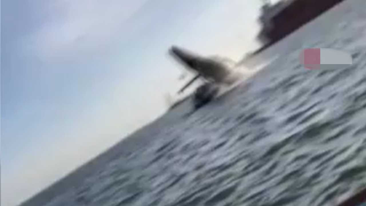 Sudan sıçrayan balina tekneye çarptı: 2 yaralı