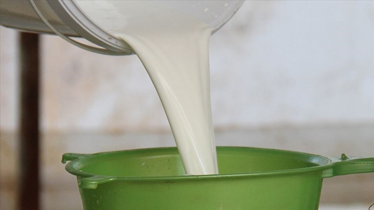 Süt endüstrisi yüksek katma değerli ürünlere odaklandı