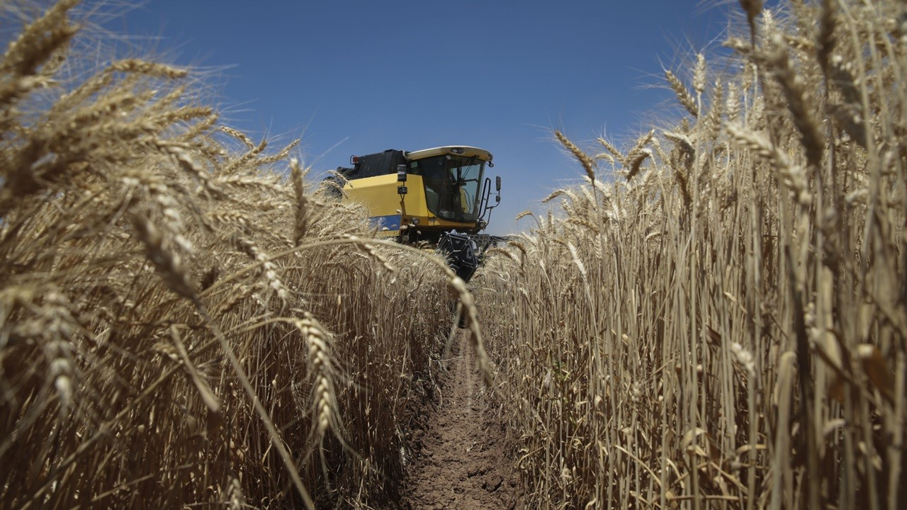 Tarım üretici fiyatları şubatta yıllık yüzde 127 arttı