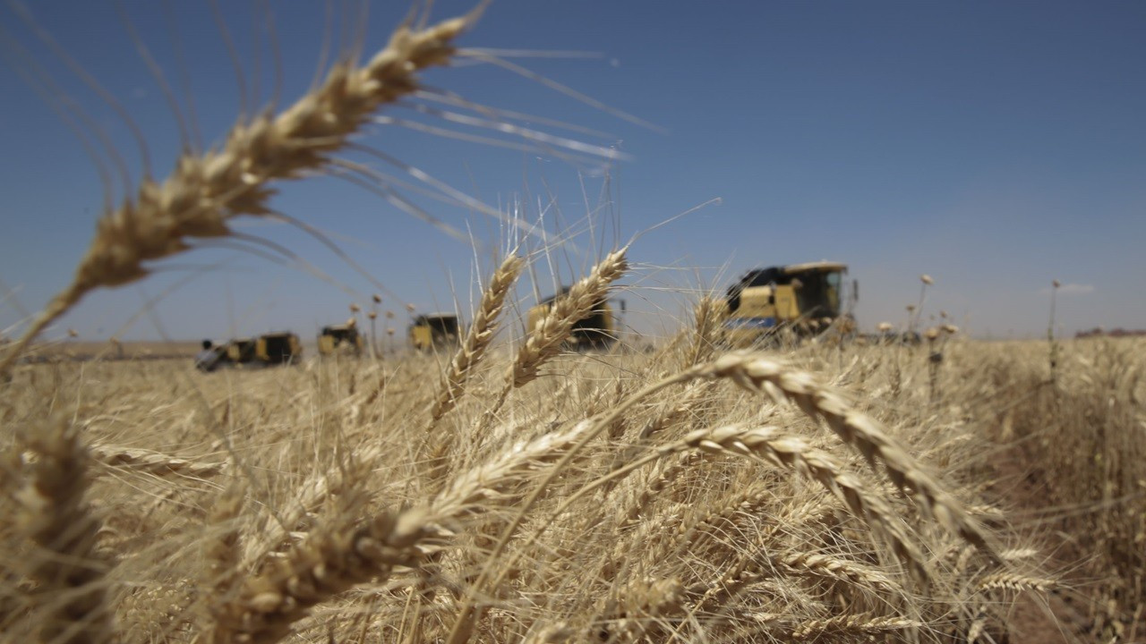Tarım ÜFE yıllık yüzde 71 arttı