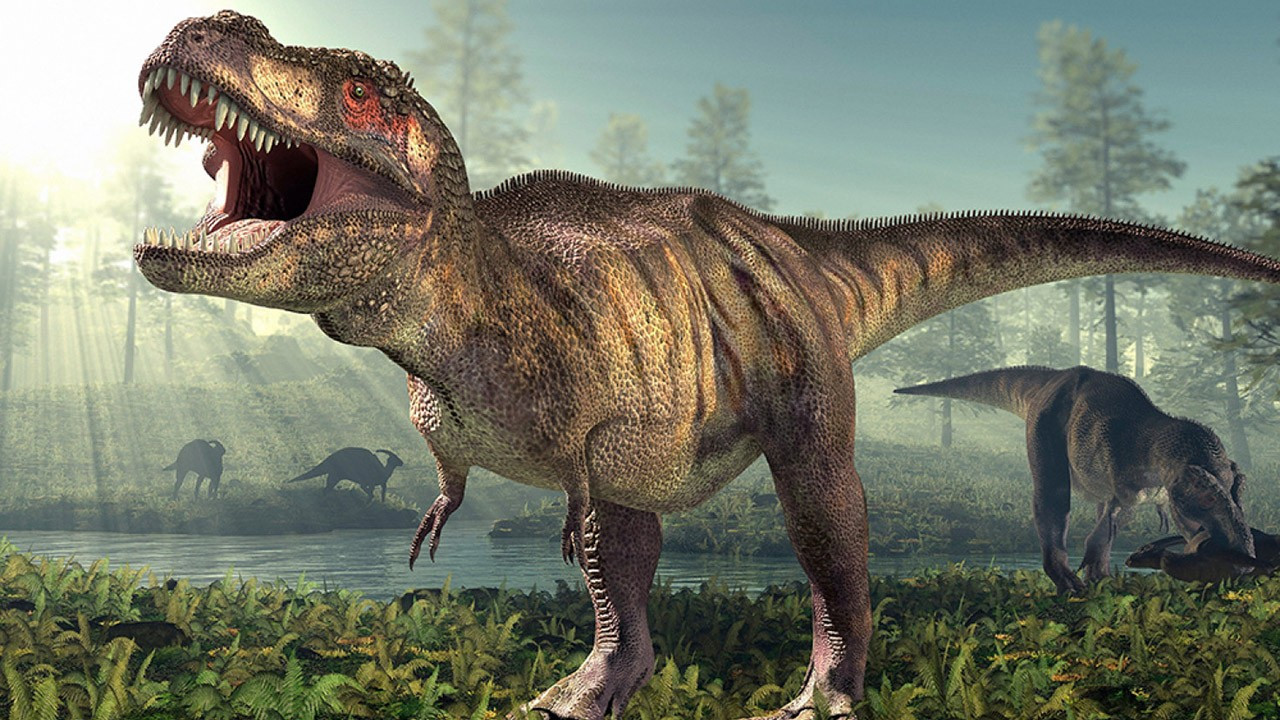 Dünyanın en büyük dinozor türü keşfedildi