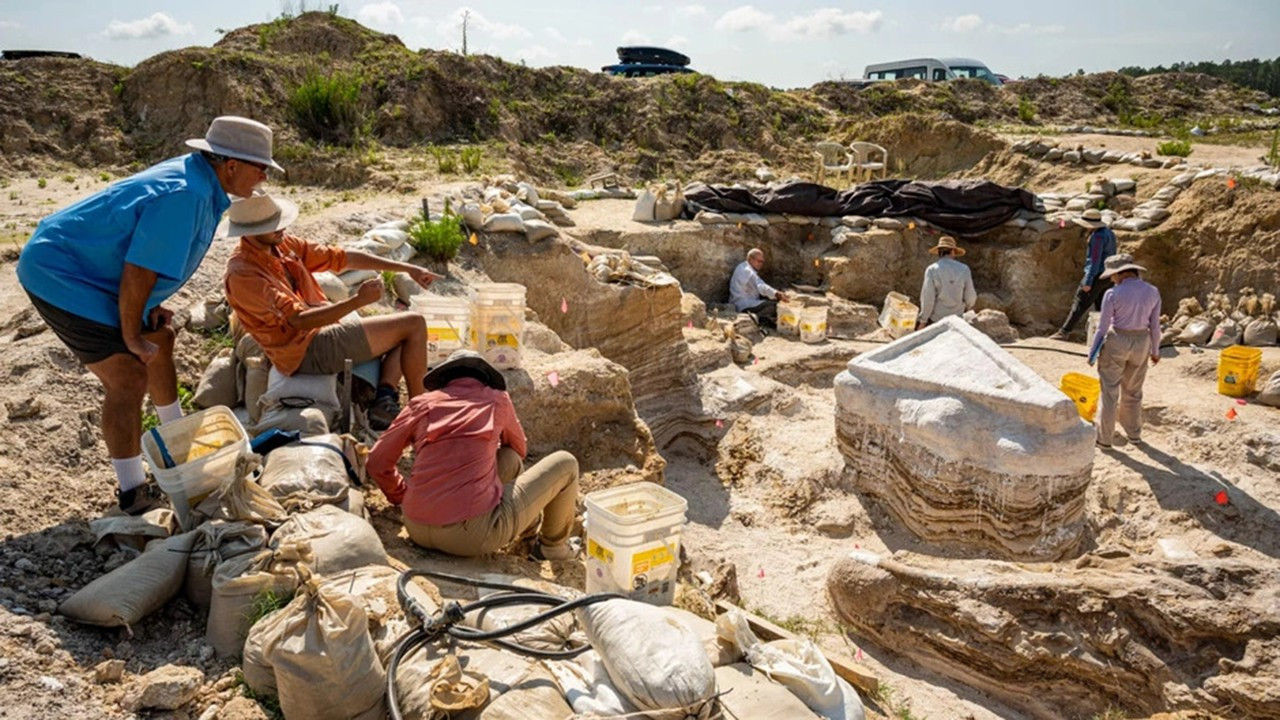 5,5 milyon yıllık eski bir fil mezarlığı keşfedildi