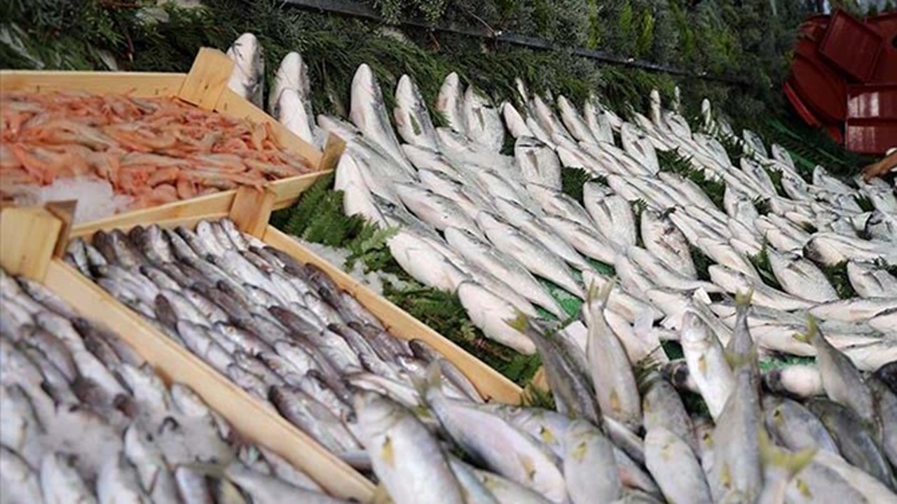 Trabzon'da balıkçı tezgahları hareketlendi