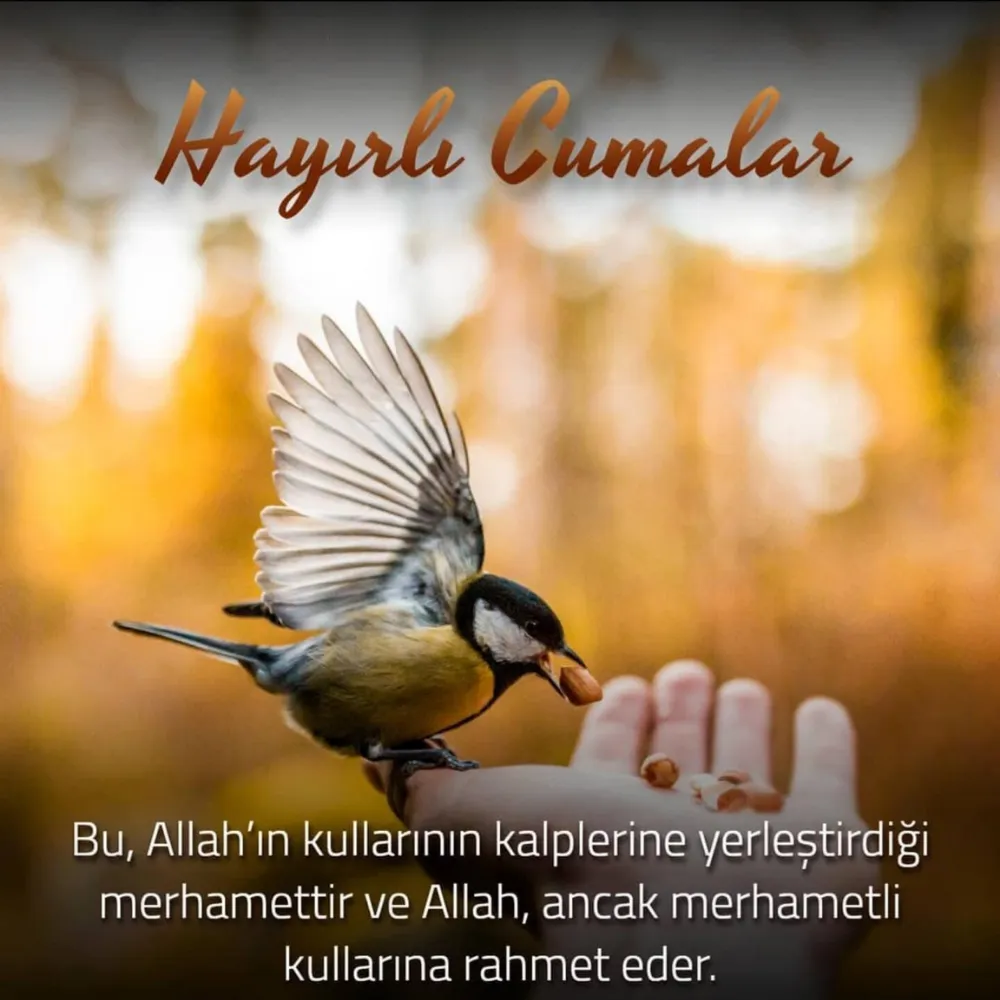 26 Nisan 2024 resimli yeni Cuma mesajları! Kısa ve anlamlı resimli cuma mesajları! Hayırlı Cumalar!