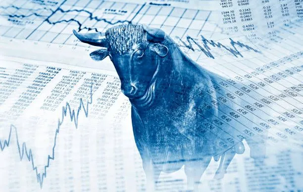 Boğa piyasası nedir? Boğa piyasasında nasıl yatırım yapılır?