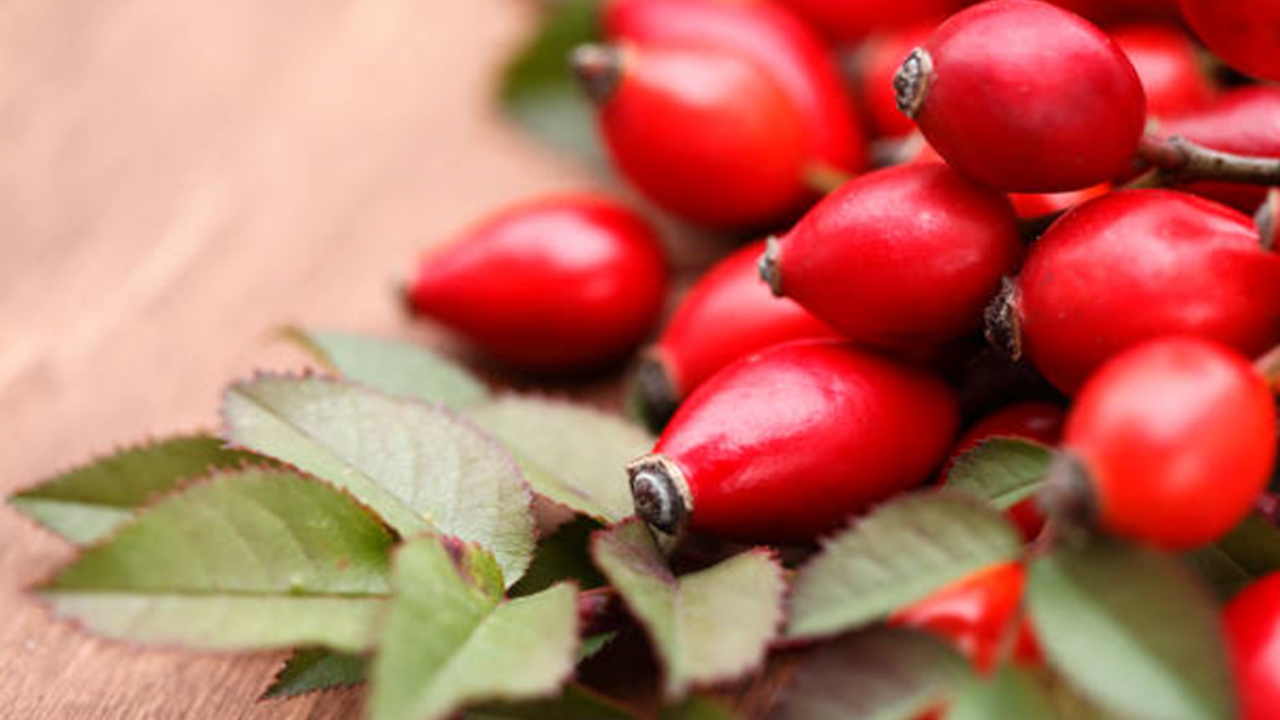 C vitamini deposu: Kuşburnu çayının bilinmeyen faydaları!