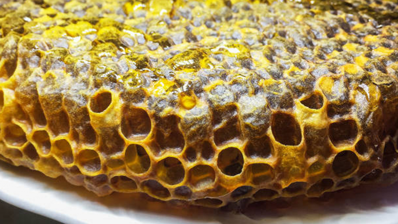 Propolis nedir? Propolisin faydaları nelerdir?