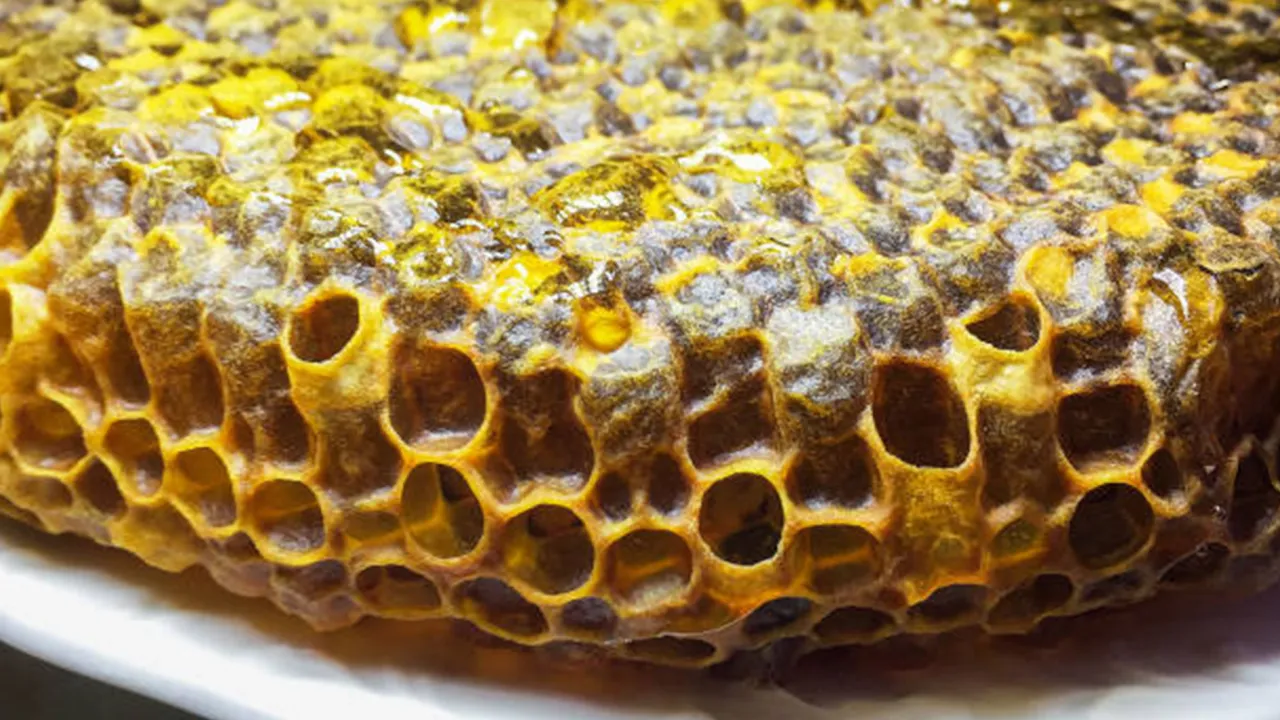 Propolis nedir? Propolisin faydaları nelerdir?