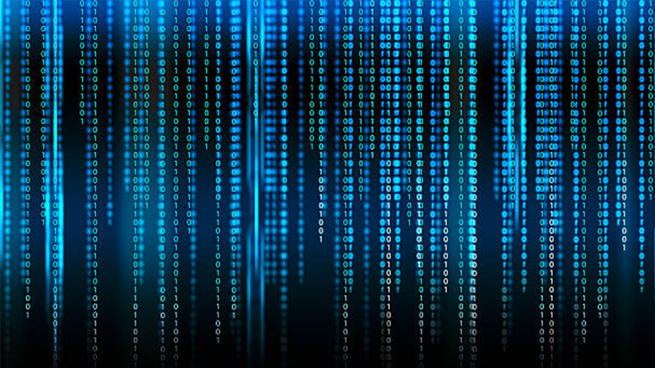 Web tasarımı ve kodlama bölümü nedir? Web tasarımı ve kodlama bölümü kaç yıllıktır?