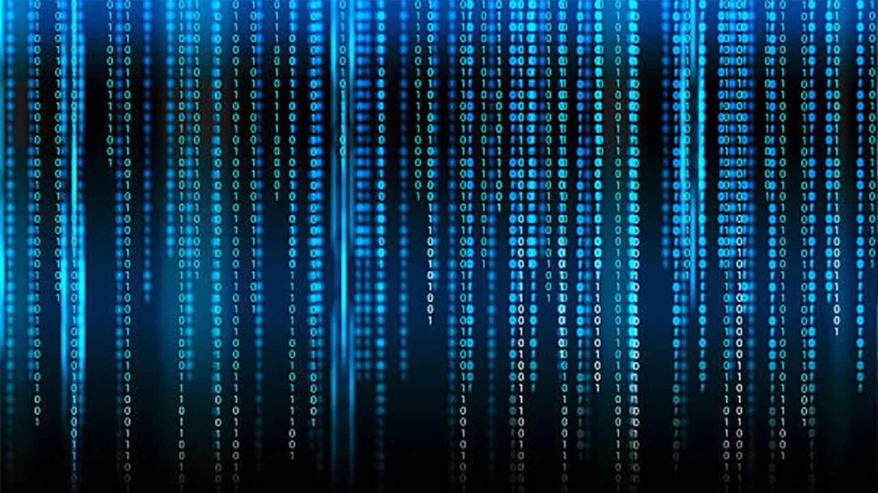 Web tasarımı ve kodlama bölümü nedir? Web tasarımı ve kodlama bölümü kaç yıllıktır?