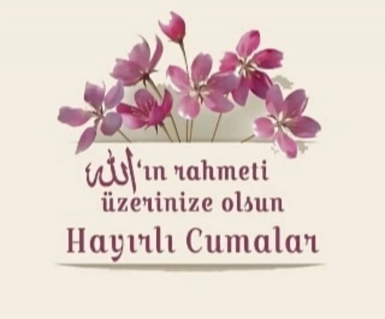 5 Temmuz 2024 resimli yeni cuma mesajları! Kısa ve anlamlı resimli cuma mesajları! Hayırlı Cumalar