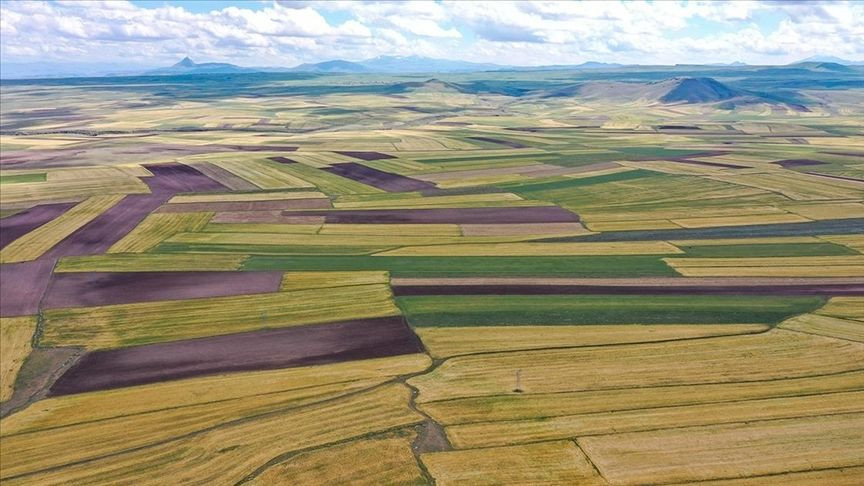 Türkiye'deki arsa fiyatları Avrupa'yı geride bıraktı: Düşüş yaşanır mı?