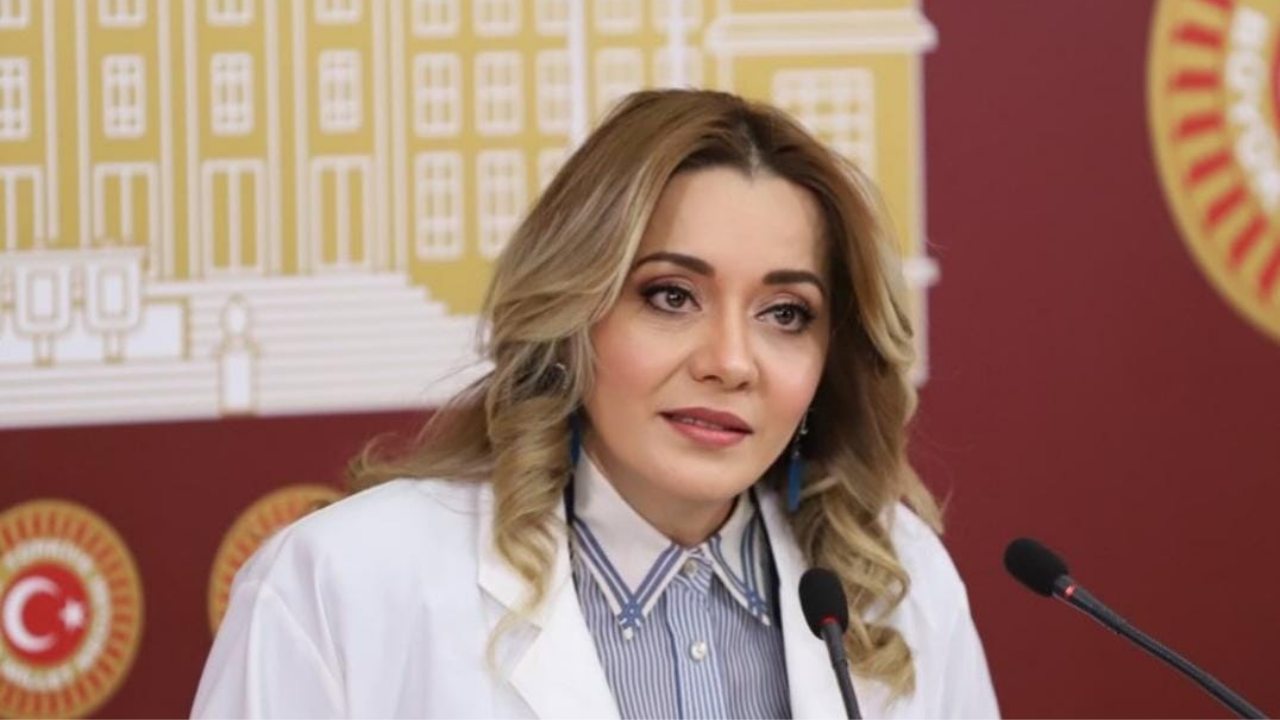 İYİ Parti'den istifa eden Aylin Cesur kimdir? Aylin Cesur hangi görevlerde bulundu?