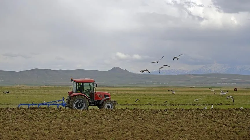 Tarımda korkutan tablo: Kuraklık nedeniyle rekolte düştü, süt krizi kapıda...