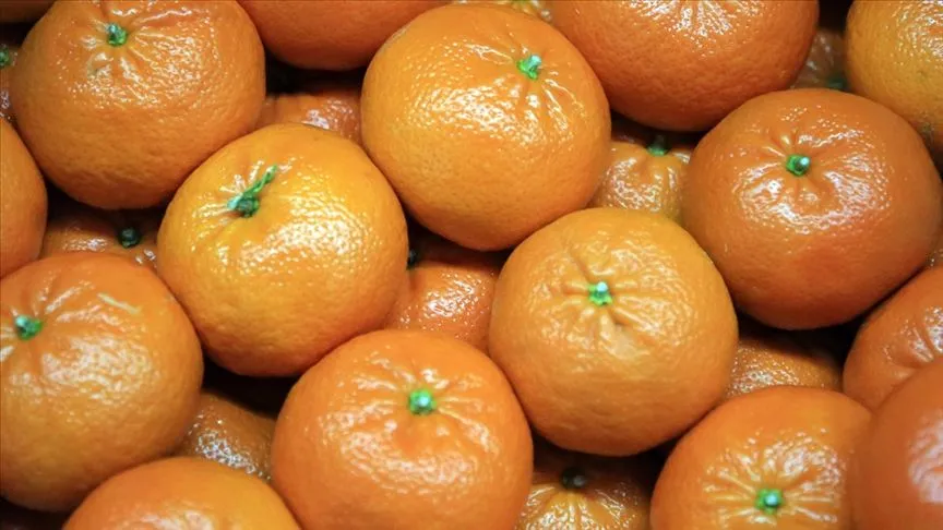 Mandalina küfleniyorsa bu yöntemi deneyin ; Pazardan geldiği gibi taze kalıyor