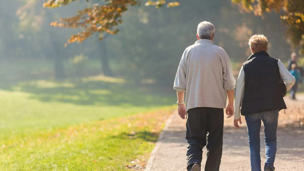 Japon uzman 65 yıl önce açıklamıştı: Bir günde sadece bu kadar adım atın! Faydaları saymakla...