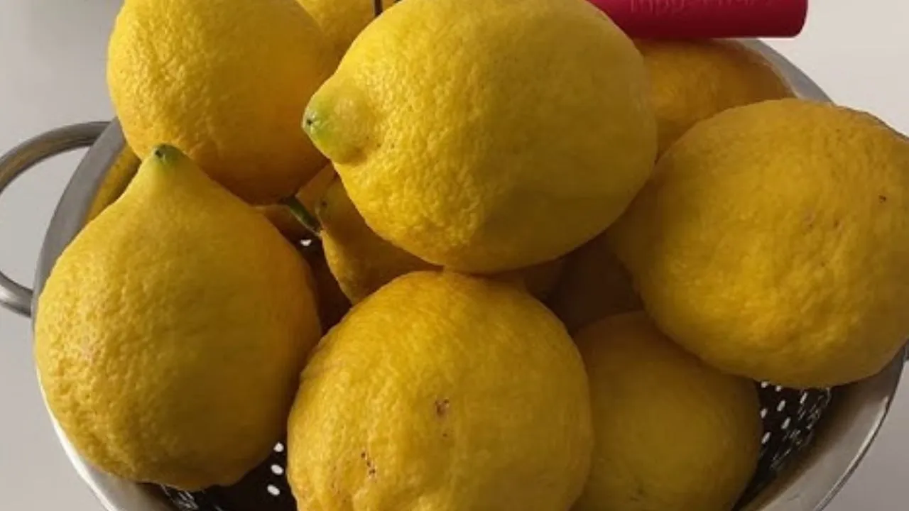 Taze limonları bozulmadan saklamanın yolu ; Haftalarca küflenmiyor ve sulu kalıyor