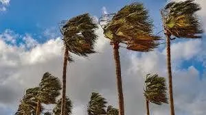 Hangi illerde kar yağacak? İlleri tek tek saydı: Meteoroloji'den kar yağışı ve sıcaklık uyarısı
