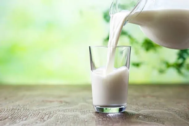 Laktozsuz süt gerçekten sindirim dostu mu, yoksa bir pazarlama harikası mı?