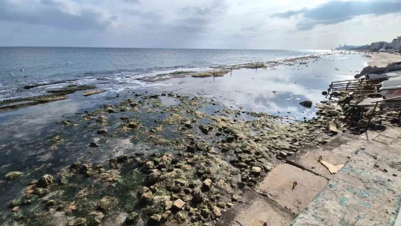 Günübirlik kaçamak yapmak için en temiz 10 Marmara plajı: Şimdi Maldivler düşünsün
