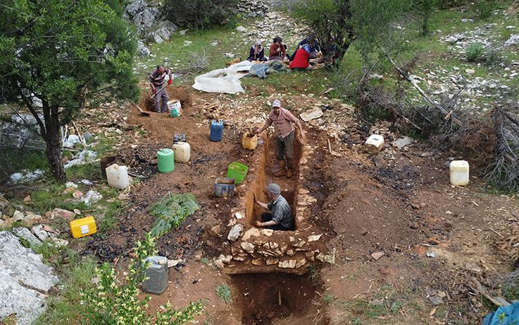 Antalya'nın Akseki ilçesinde geleneksel yöntemlerle sedir katran yağı üretiliyor