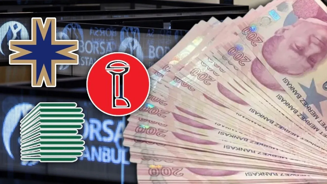 16-20 Haziran temettü yağmuru başlıyor * Şirketler 17,04 TL kar payı dağıtıyor