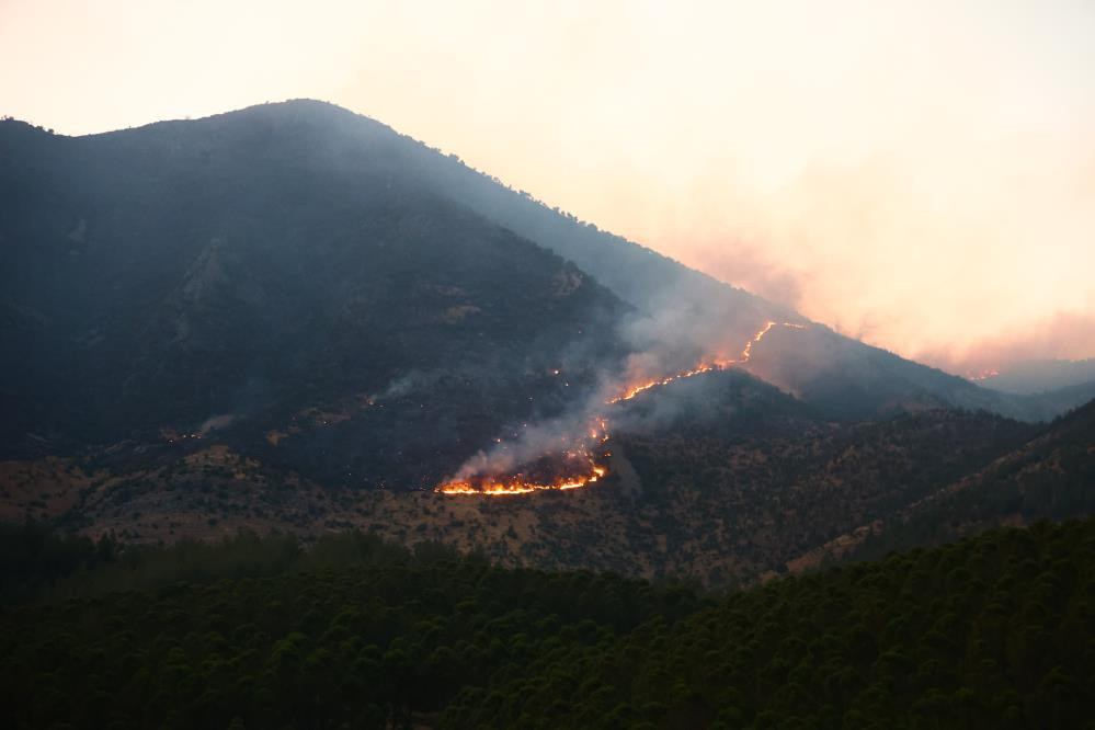 Kahramanmaraş Orman Yangını